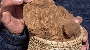 The rarest fabric on Earth